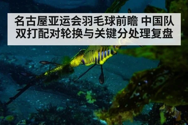 名古屋亚运会羽毛球前瞻 中国队双打配对轮换与关键分处理复盘